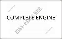 COMPLETE MOTOR voor SYM ORBIT II (25 KMH) 50 (AE05W1-6) (K9-L5) 2011