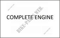 COMPLETE MOTOR voor SYM ORBIT II 50 (45KMH) (AE05W-6) (K8-L5) 2014